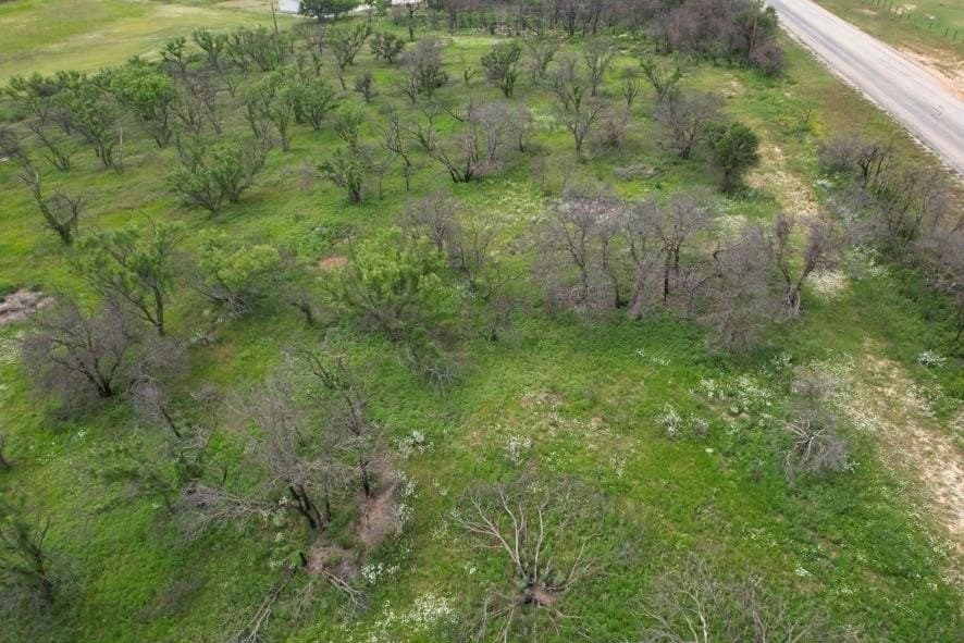 300 acres in Jones County - photo 22