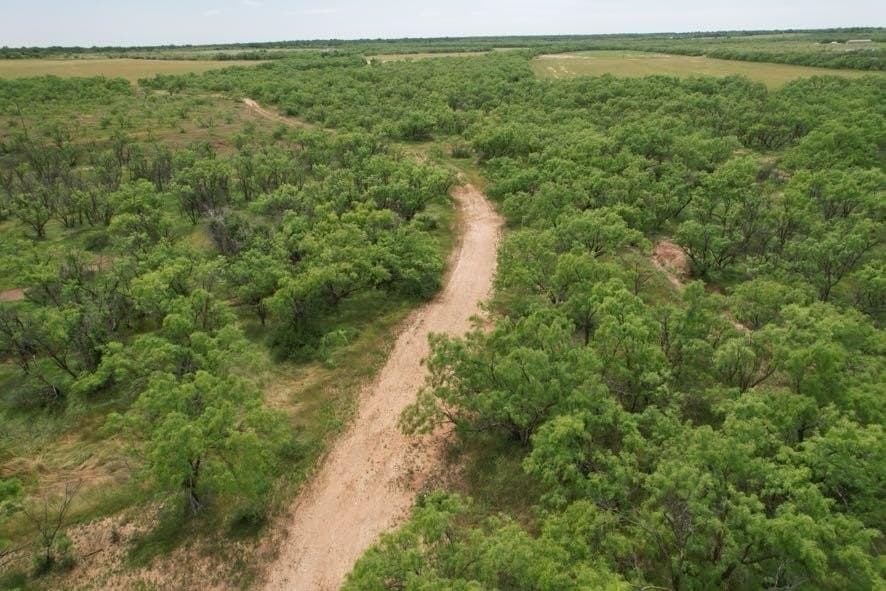 300 acres in Jones County - photo 31