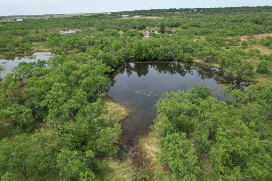 300 acres in Jones County - photo 5