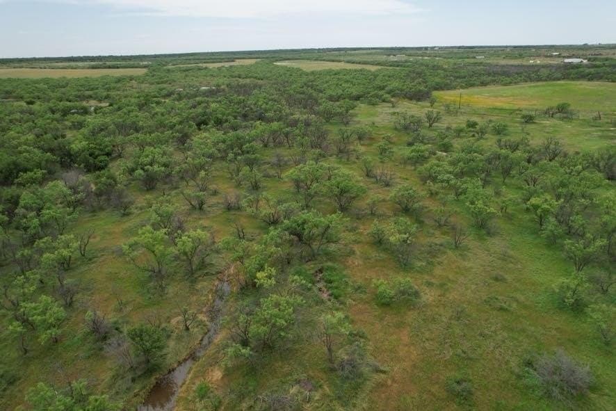 300 acres in Jones County - photo 14