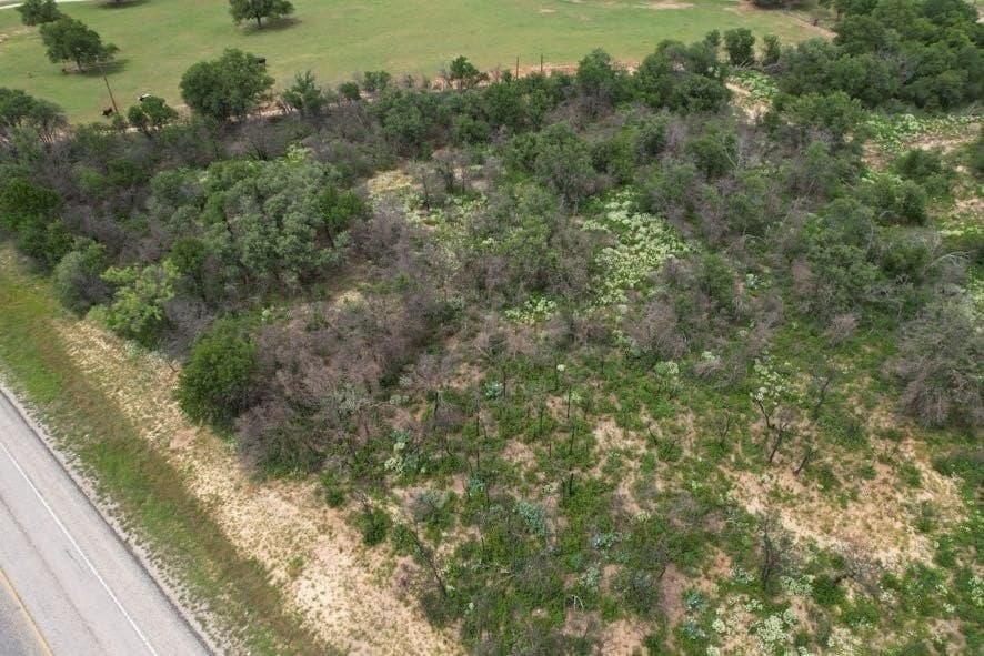 300 acres in Jones County - photo 28