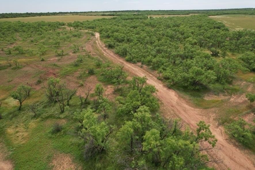 300 acres in Jones County - photo 24