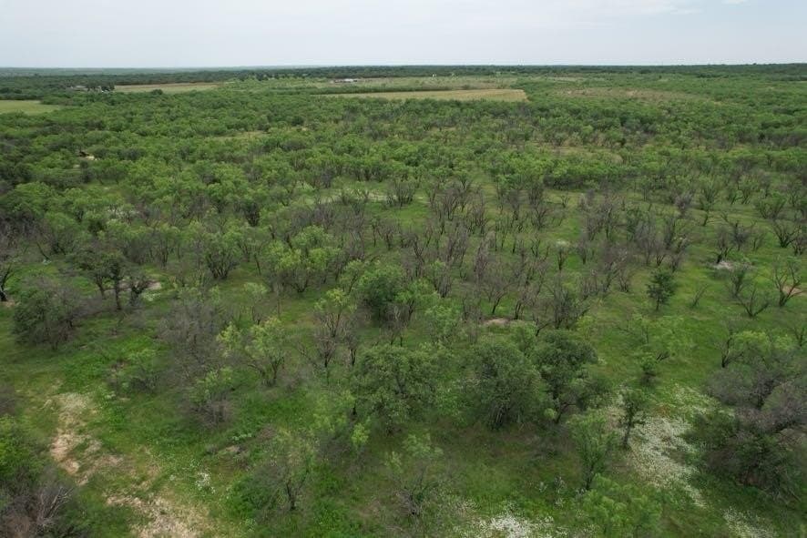 300 acres in Jones County - photo 13