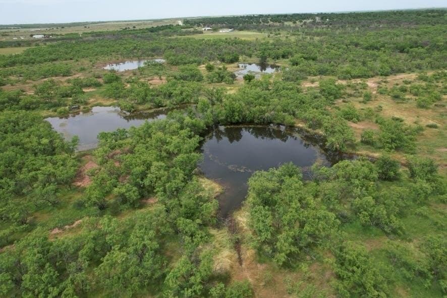 300 acres in Jones County - photo 8