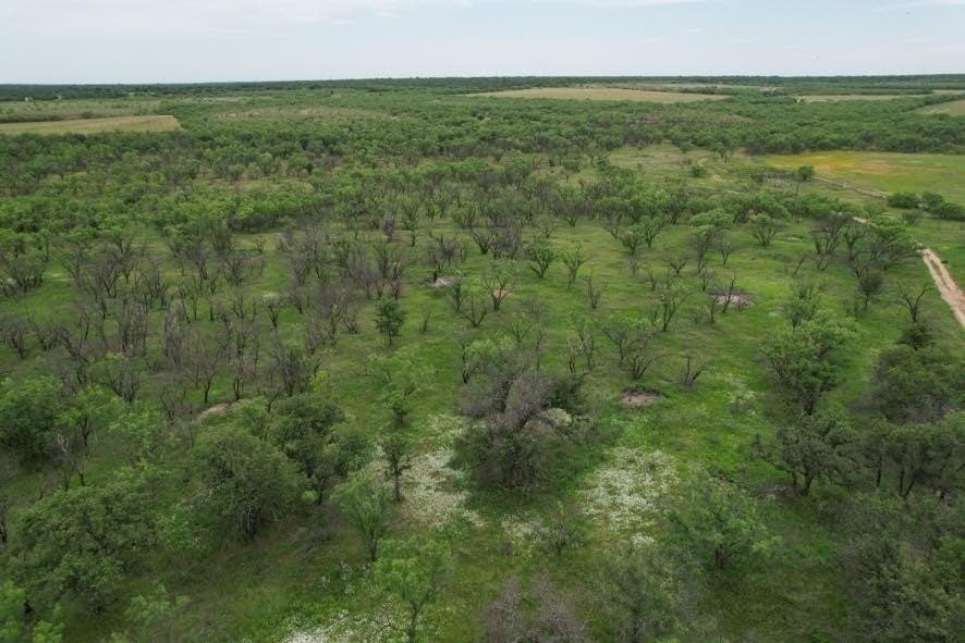 300 acres in Jones County - photo 12