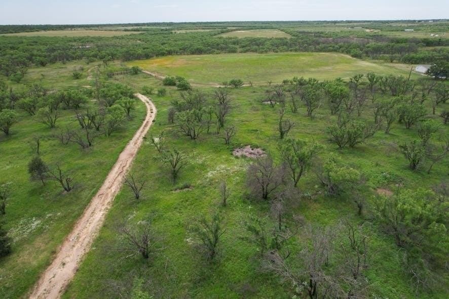 300 acres in Jones County - photo 29