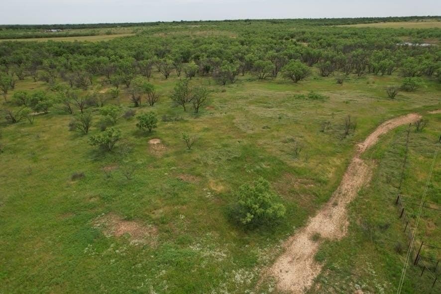 300 acres in Jones County - photo 23