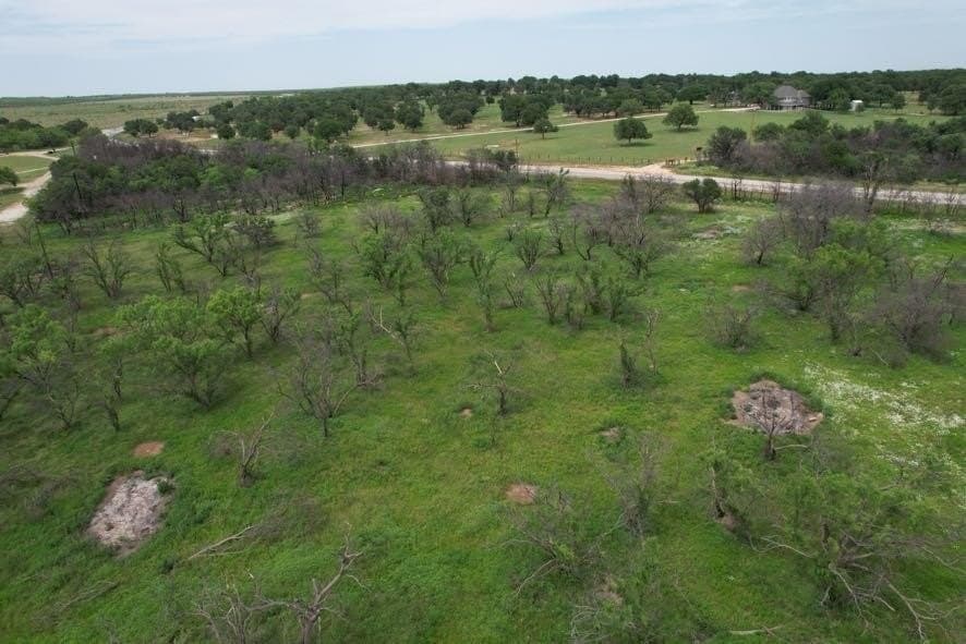 300 acres in Jones County - photo 17