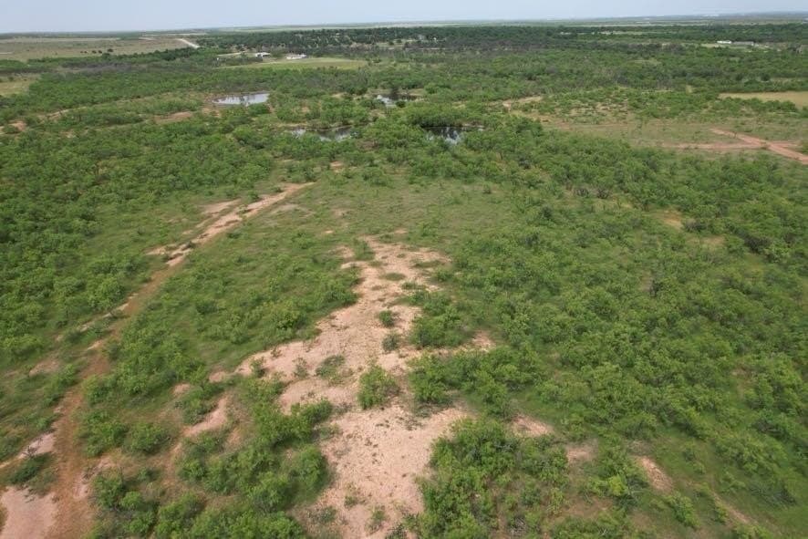 300 acres in Jones County - photo 25