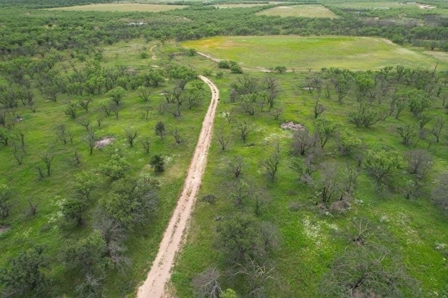 300 acres in Jones County - photo 21