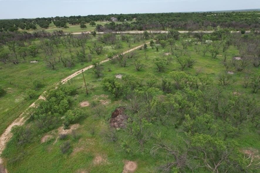 300 acres in Jones County - photo 16