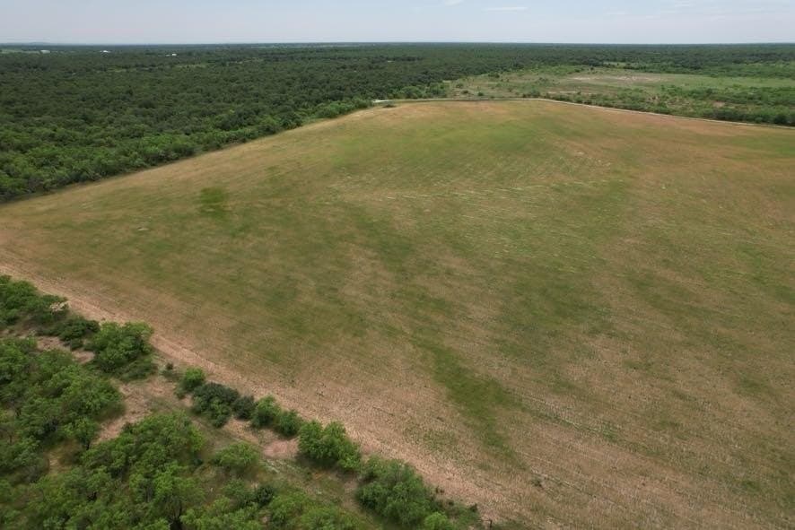 300 acres in Jones County - photo 32