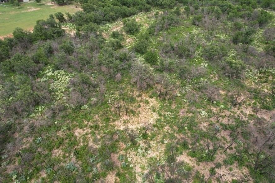 300 acres in Jones County - photo 19