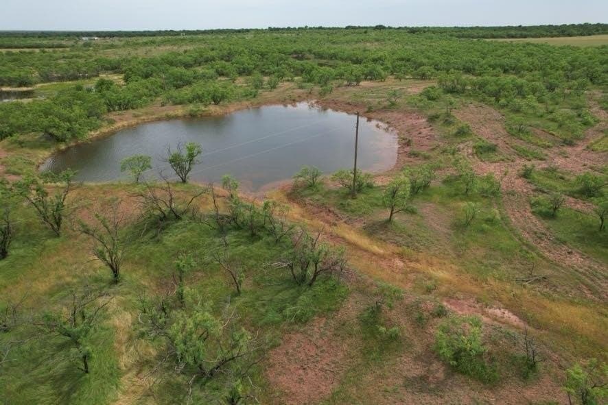 300 acres in Jones County - photo 7