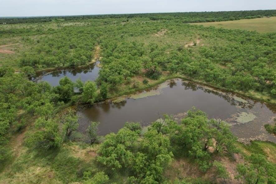 300 acres in Jones County - photo 6
