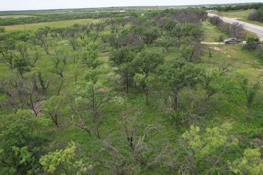 300 acres in Jones County - photo 11