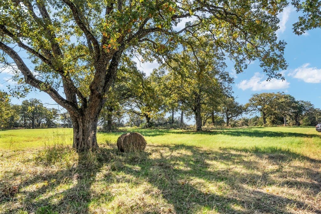 158.8 acres in Anderson County - photo 19
