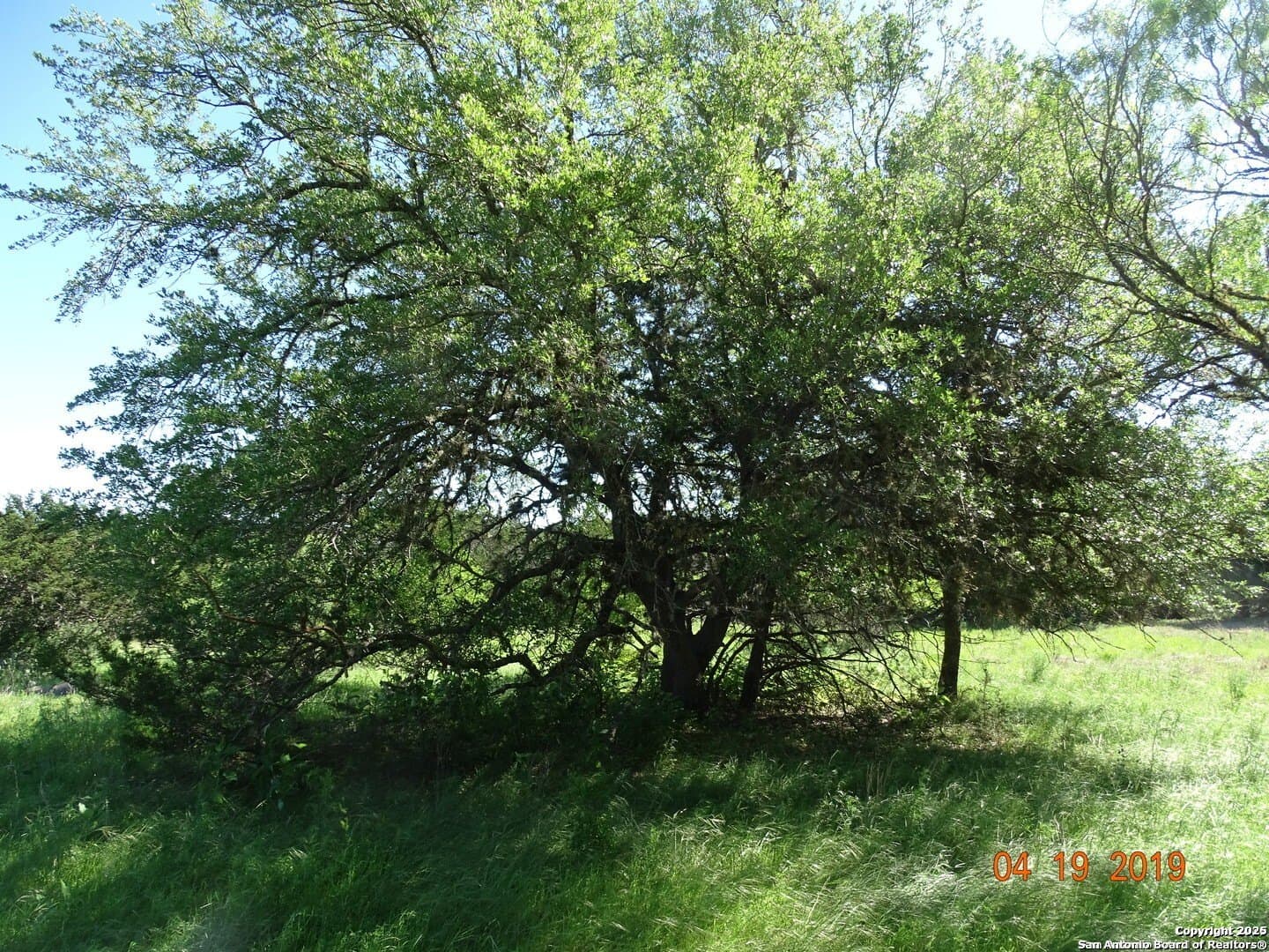 3.35 acres in Bandera County - photo 3