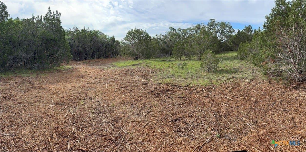 10.44 acres in Hays County - photo 26