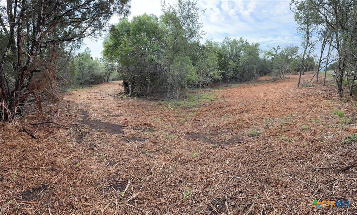 10.44 acres in Hays County - photo 29