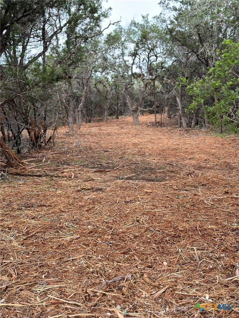 10.44 acres in Hays County - photo 22