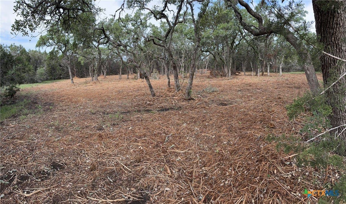 10.44 acres in Hays County - photo 23