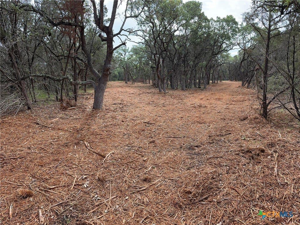 10.44 acres in Hays County - photo 21