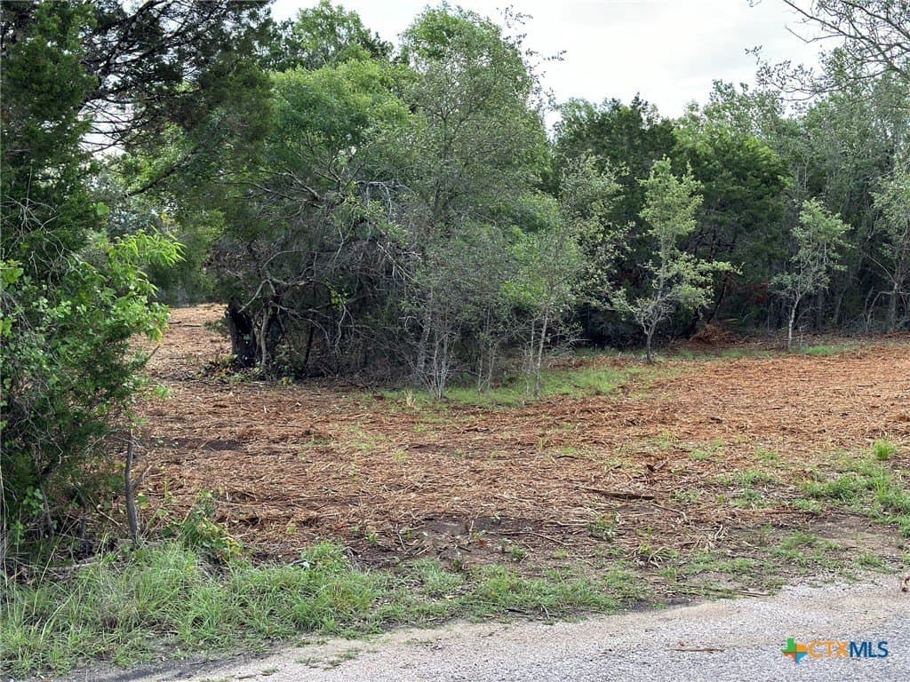 10.44 acres in Hays County - photo 31