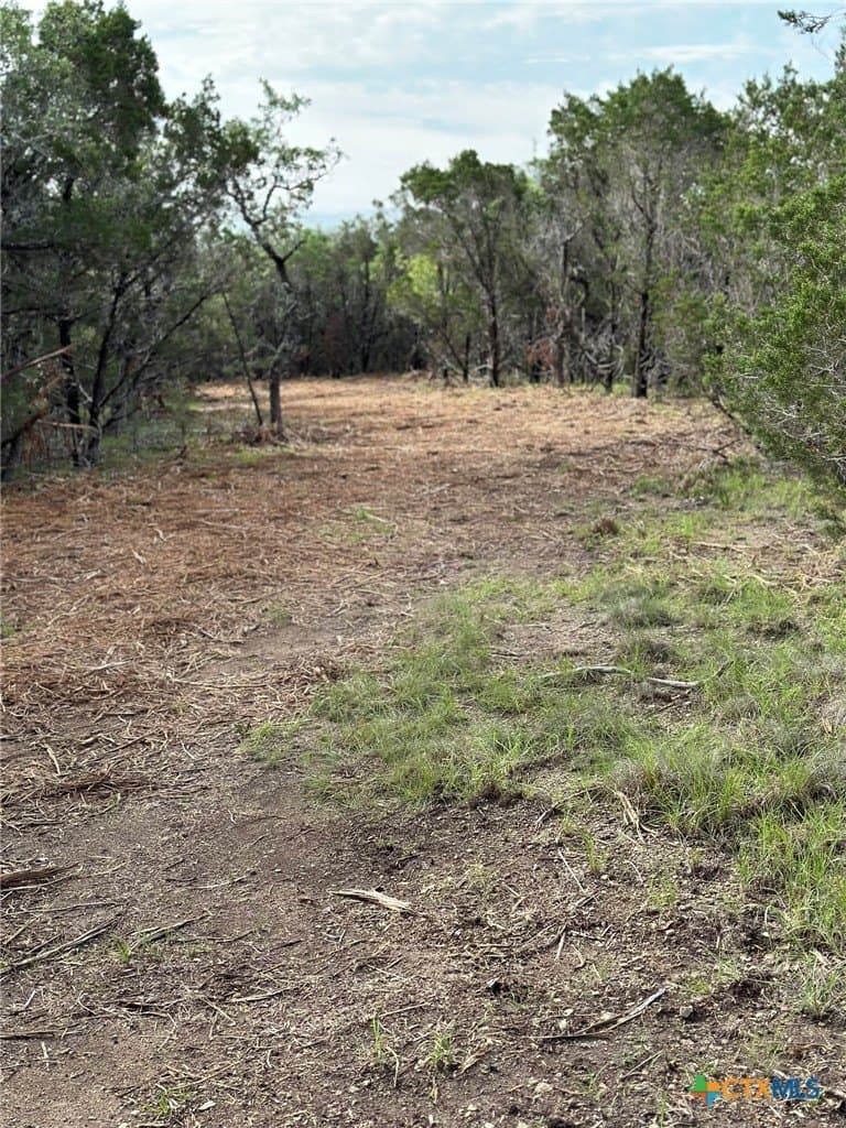 10.44 acres in Hays County - photo 25