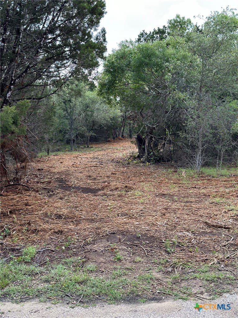 10.44 acres in Hays County - photo 32