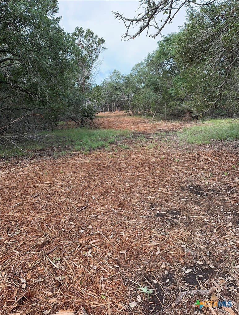 10.44 acres in Hays County - photo 24