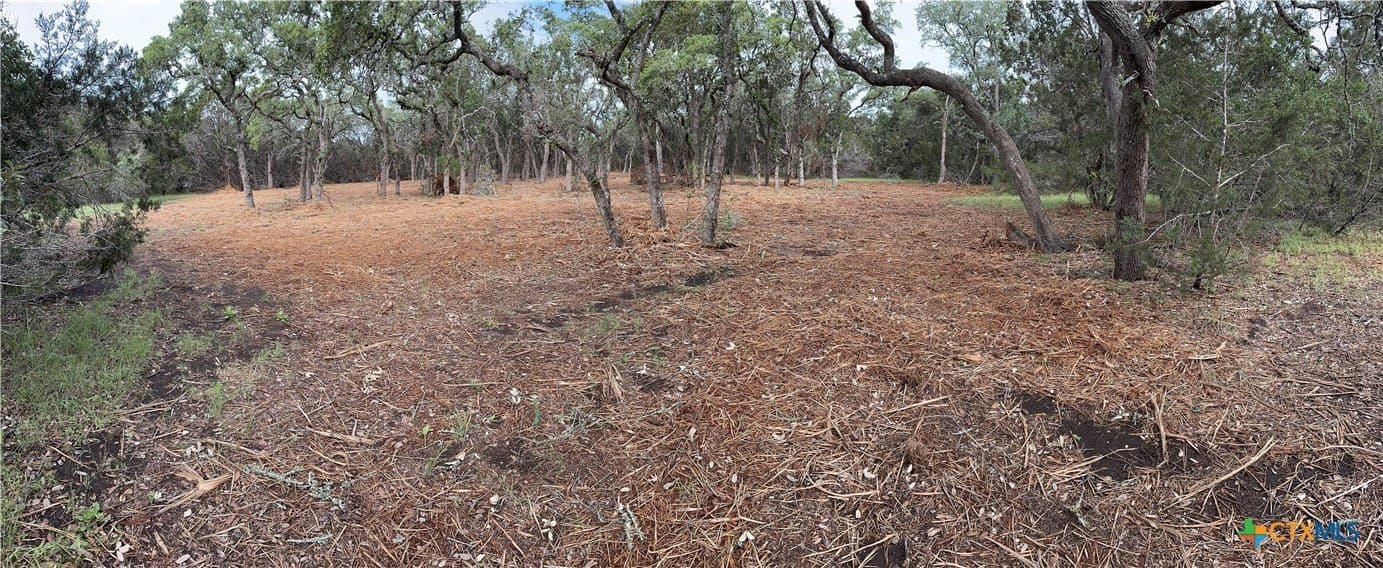 10.44 acres in Hays County - photo 20