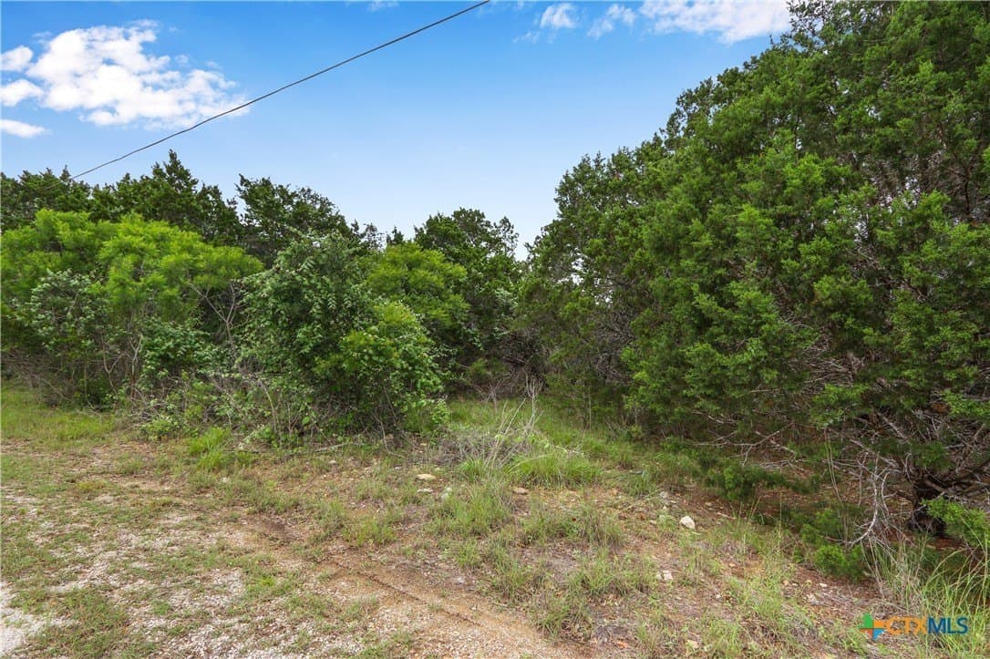 10.44 acres in Hays County - photo 16