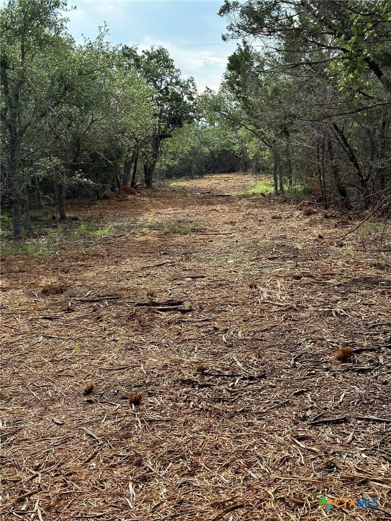 10.44 acres in Hays County - photo 28