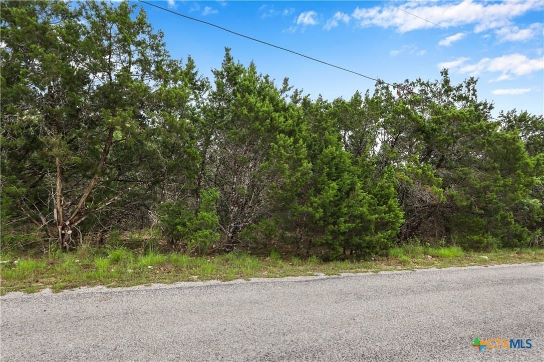 10.44 acres in Hays County - photo 19
