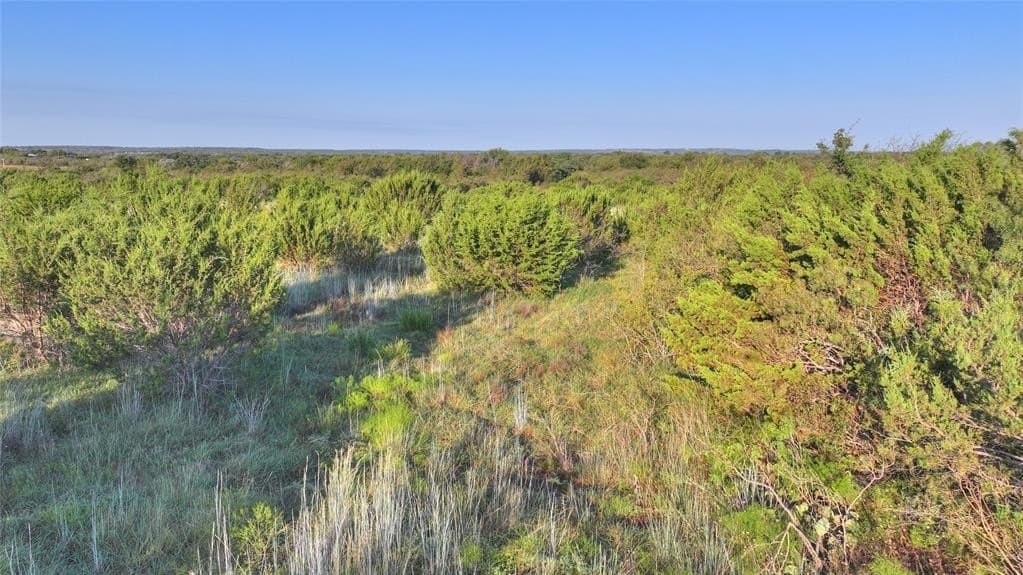 10.01 acres in Hood County - photo 14