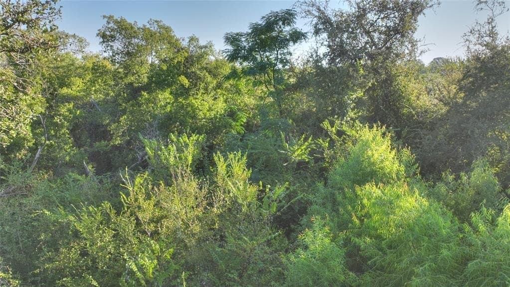 10.01 acres in Hood County - photo 7