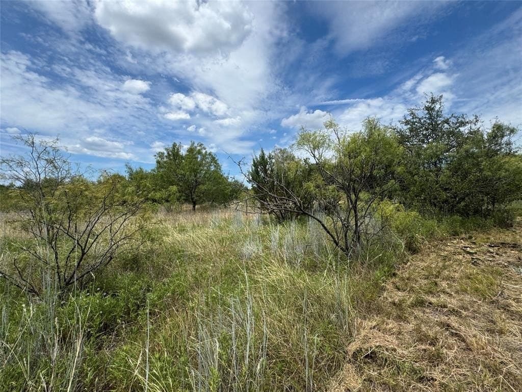 10.01 acres in Hood County - photo 2