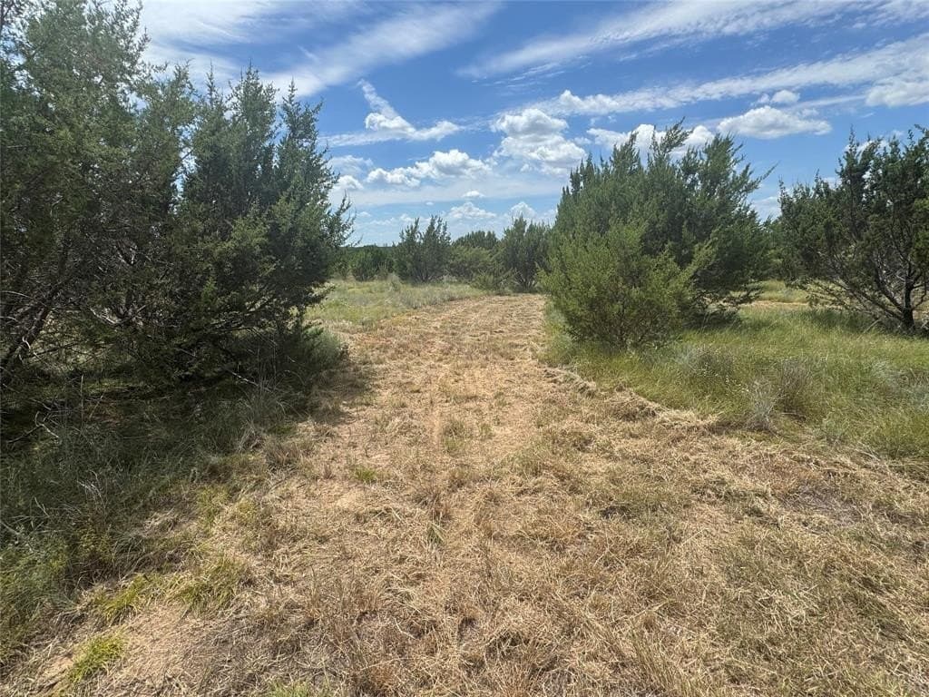 10.01 acres in Hood County - photo 12