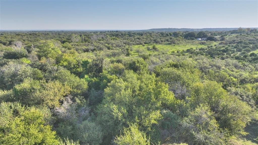 10.01 acres in Hood County - photo 10