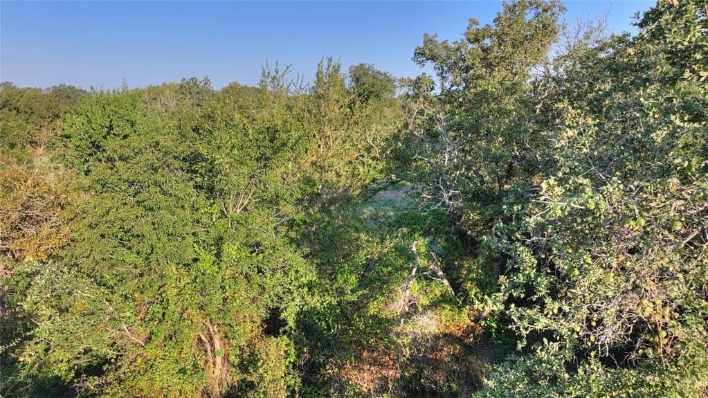 10.01 acres in Hood County - photo 21
