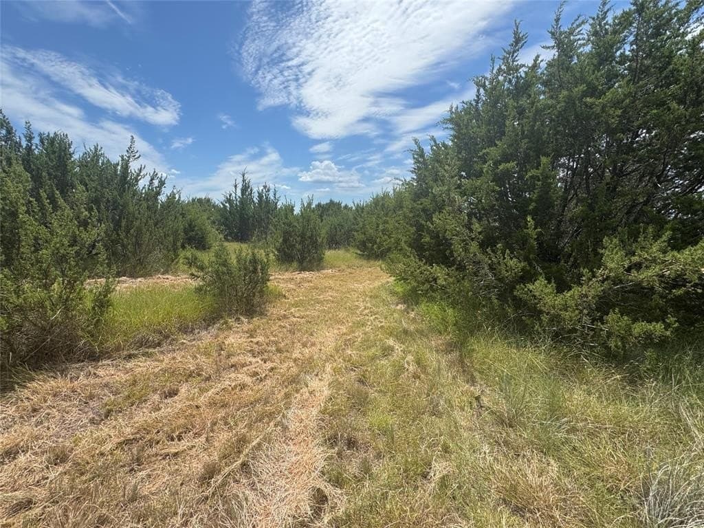 10.01 acres in Hood County - photo 5
