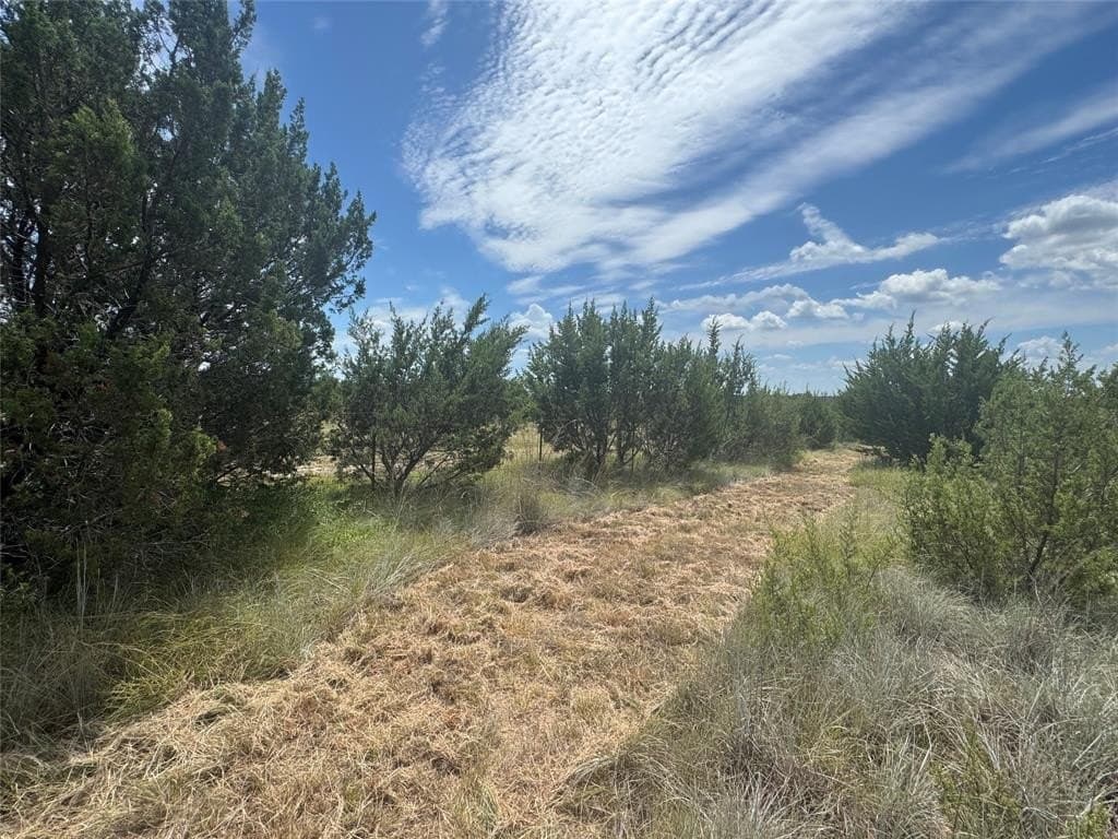 10.01 acres in Hood County - photo 4