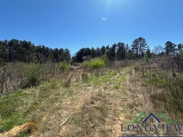23.34 acres in Rusk County - photo 7