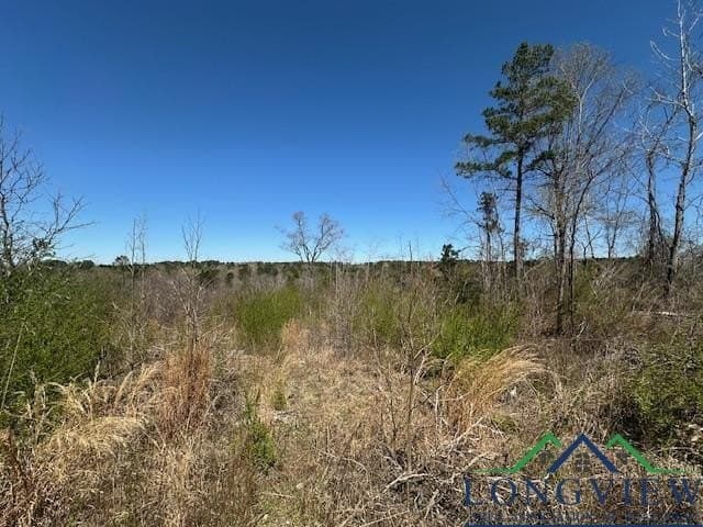 23.34 acres in Rusk County - photo 2