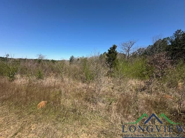 23.34 acres in Rusk County - photo 4