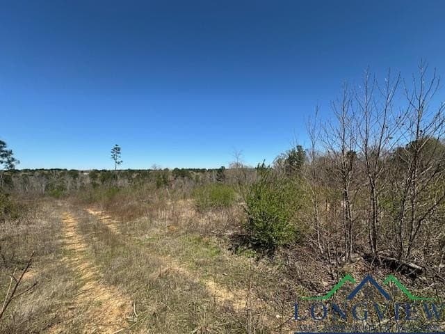 23.34 acres in Rusk County - photo 6
