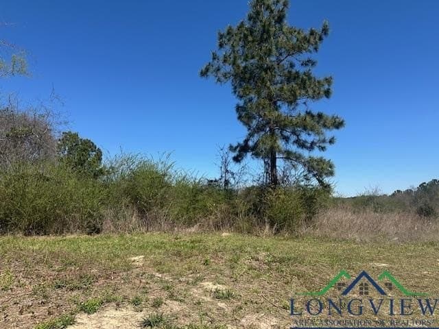 23.34 acres in Rusk County - photo 9