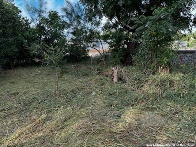 0.05 acres in Bexar County - photo 4