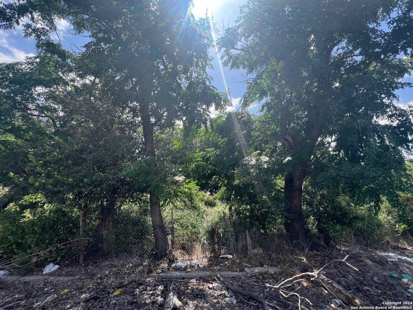 0.05 acres in Bexar County - photo 3